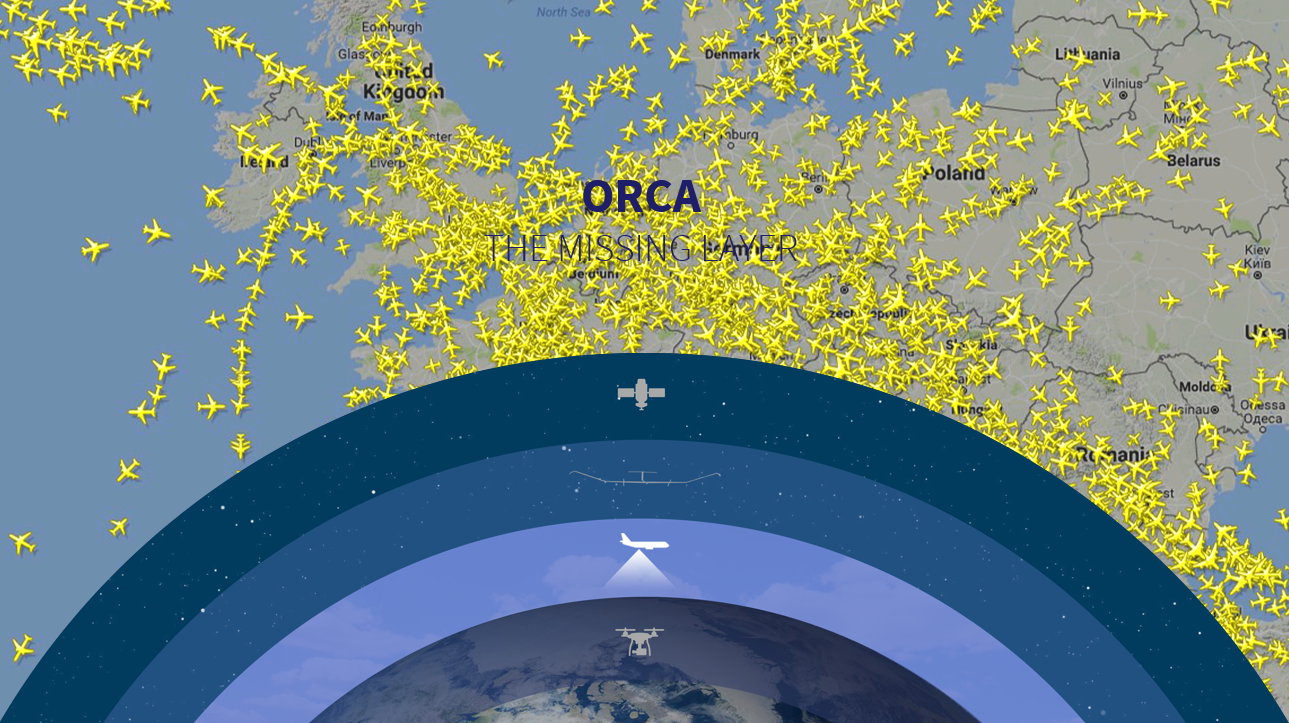 orca